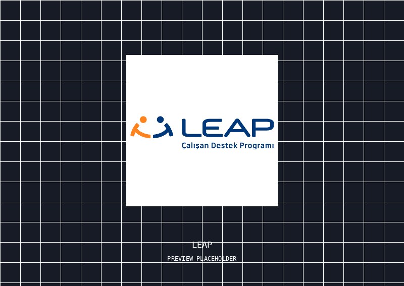 LEAP support programme website